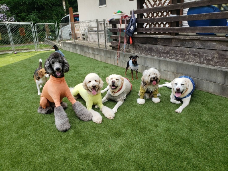 ＝三浦市に人工芝工事＝