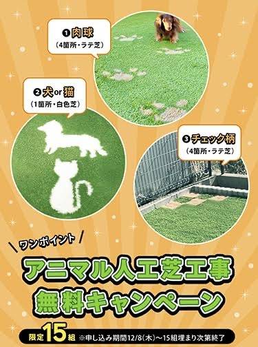 アニマル人工芝工事キャンペーン